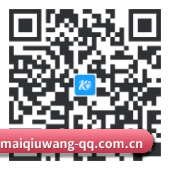 系统版 iOS 二维码
